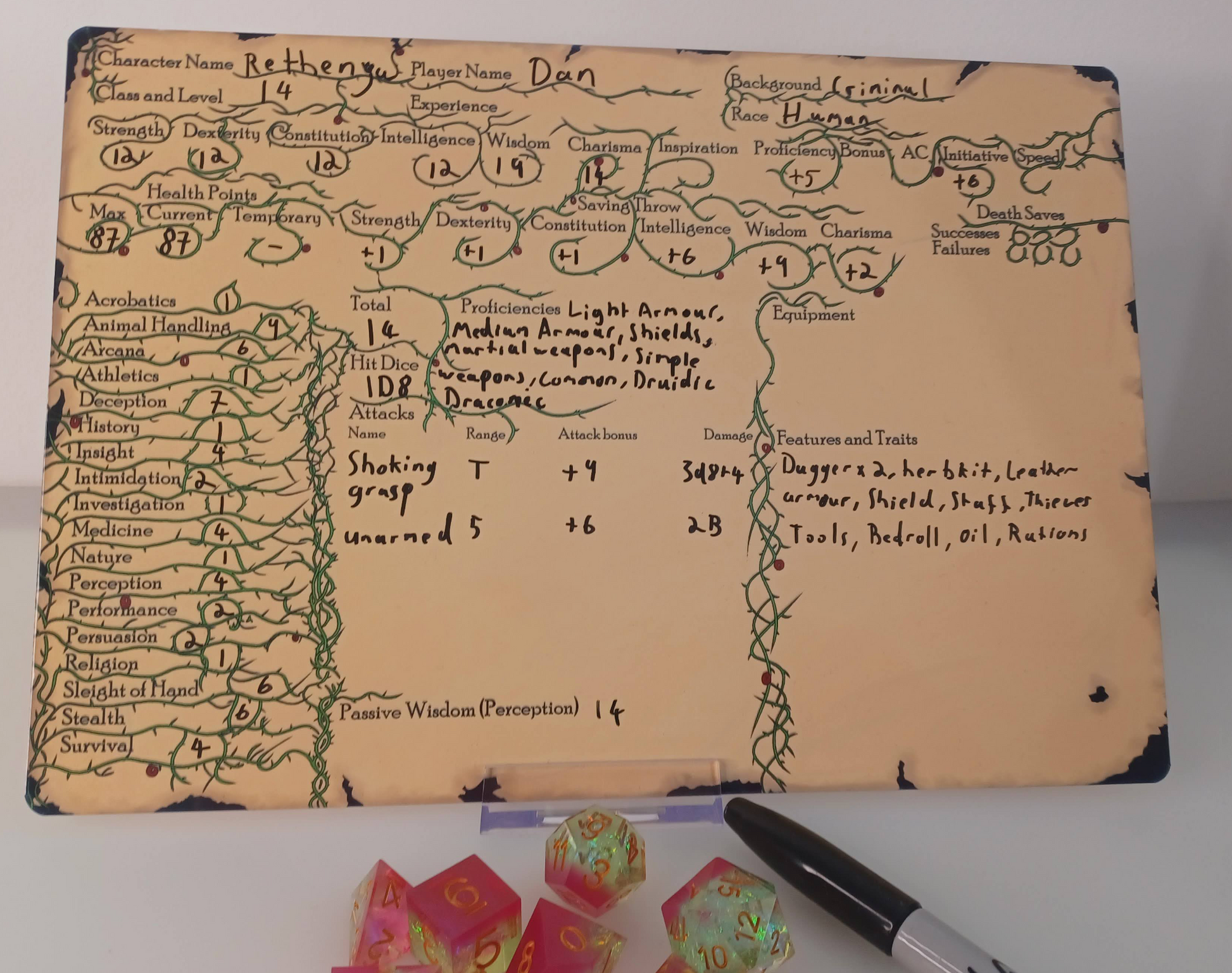 Druid D&D metal Character sheet